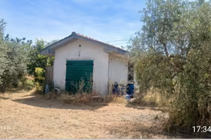 terreno agricolo con annesso agricolo 