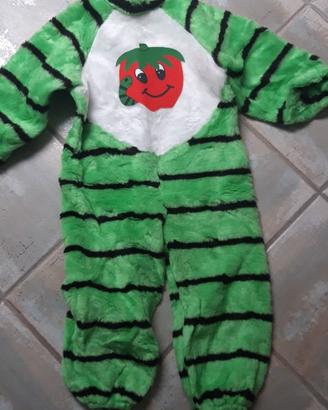 Costume da Carnevale bimbo 3-4 anni