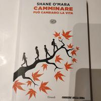 Libro   Camminare può cambiarci la vita 