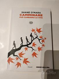 Libro   Camminare può cambiarci la vita 