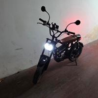 bicicletta elettrica evercross