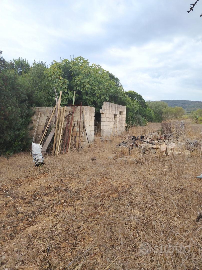 terreno agricolo - Vista 3