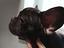 Immagine 4