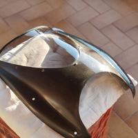 Cupolino in carbonio Performance Ducati Monster