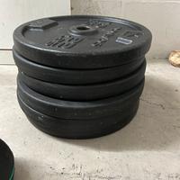 Dischi ghisa 10 kg foro 28 mm