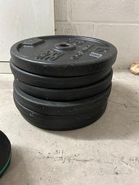 Dischi ghisa 10 kg foro 28 mm