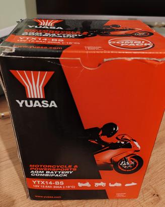 BATTERIA YUASA YTX14-BS