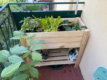 Semenzaio da giardino/terrazzo