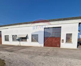 Capannone Industriale - Cerea