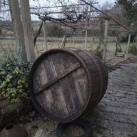 botte in castagno per vino 1000 litri