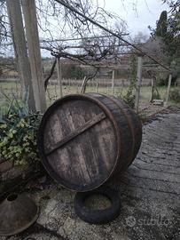 botte in castagno per vino 1000 litri