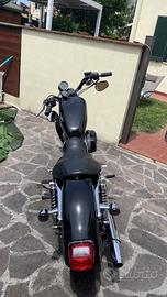 Harley sporster 883 xl 2009