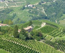 TER. AGRICOLO A CASTIGLIONE TINELLA