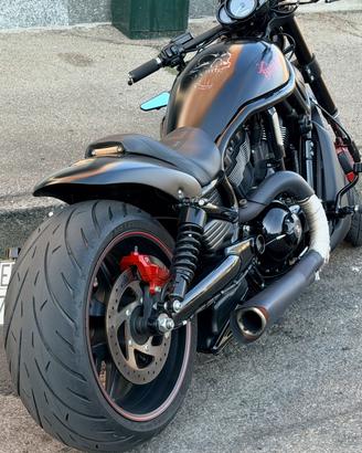 NIGHT ROD SPECIAL