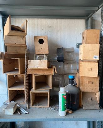 Nidi da cova per inseparabili e cocorite