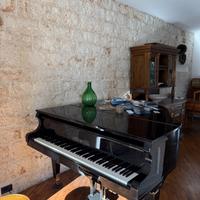 Pianoforte a coda Schulze Pollmann