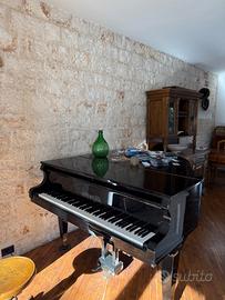 Pianoforte a coda Schulze Pollmann