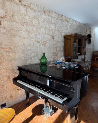 Pianoforte a coda Schulze Pollmann