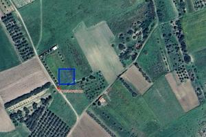 Terreno agricolo ALL INCLUSIVE EUROSPA