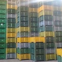 Cassoni - Bins plastica