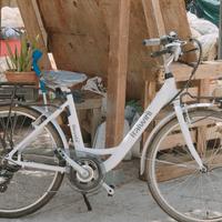 bicicletta elettrica con pedalata assistita 