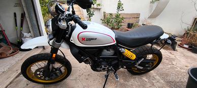 Ducati scrambler desert sled 