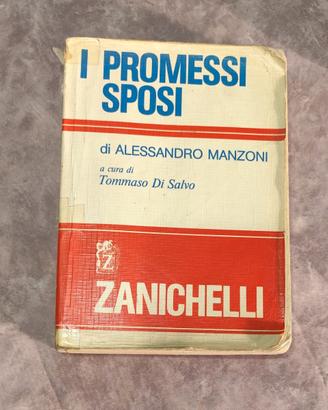 Libro "I Promessi Sposi" di Alessandro Manzoni a c