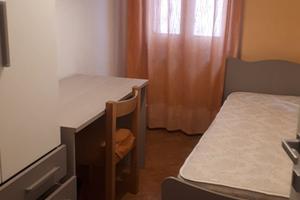 1 stanza libera (su 4) per studente/studentessa un