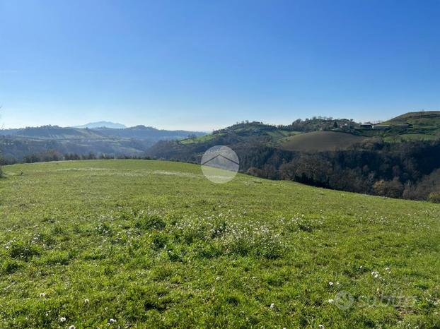 TER. AGRICOLO A MONTEBUONO