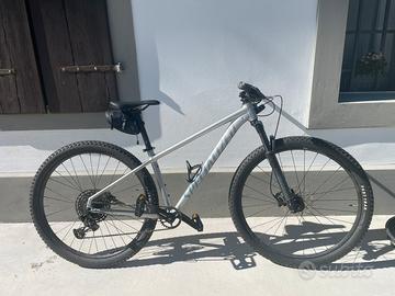 Mountain Bike Specialized