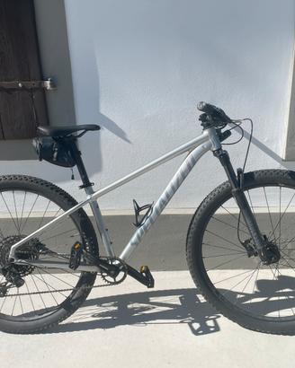 Mountain Bike Specialized