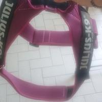 Pettorina Julius k9 originale