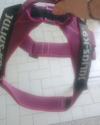 Pettorina Julius k9 originale