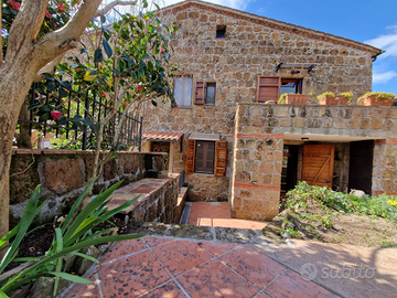 Sovana, immobile storico con giardino in centro