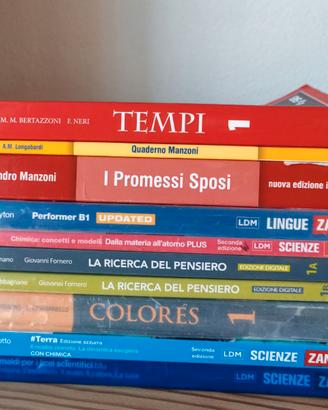 liceo scientifico Michelangelo