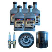 KIT TAGLIANDO HD PER V-ROAD 02/17