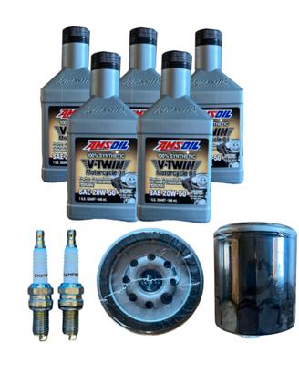 KIT TAGLIANDO HD PER V-ROAD 02/17