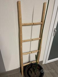 Scala legno