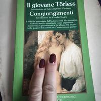 Il giovane Torless, Congiungimenti