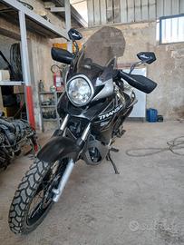 moto translap