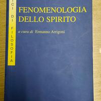 Fenomenologia dello spirito