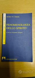 Fenomenologia dello spirito