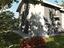 Immagine 13