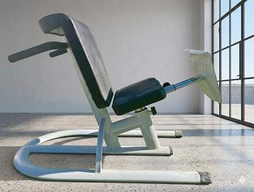 Panche Plaestra Dr Wolft