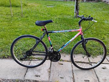 Biciclette uomo/ragazzo