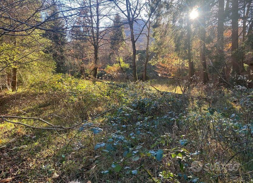 Immobile in asta di 26982 m² a Valganna - Altro