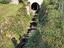 Immagine 14