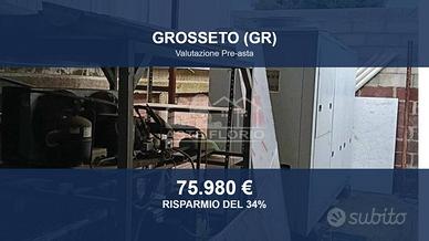 Immobile in asta di 234 m² a Grosseto