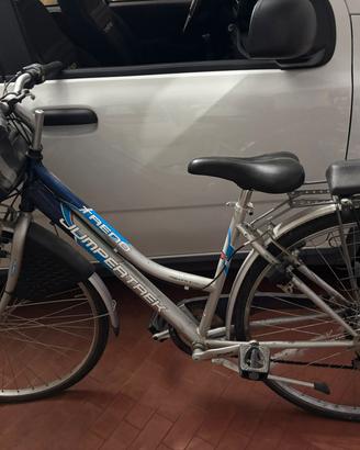 Bici da passeggio 