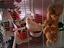 Immagine 2
